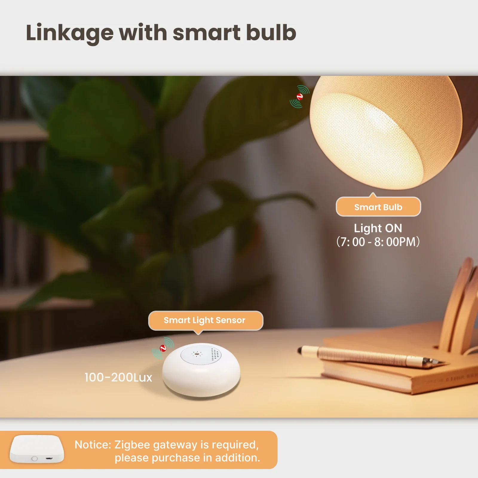 MOES Tuya Zigbee Smart Light S - đánh giá và giá Home Automation Technology