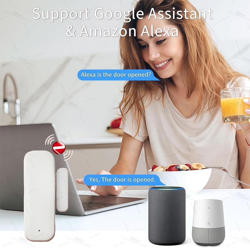 Zigbee Window Door Sensor Dete - đánh giá và giá Home Automation Technology