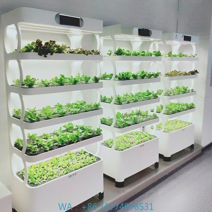 Hydroponic Automated Grow Syst - đánh giá và giá Home Automation Systems Diy